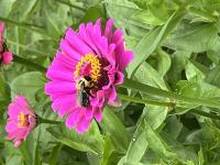 View photo in a new window