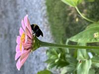 View photo in a new window