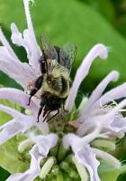 View photo in a new window