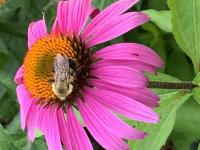 View photo in a new window