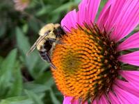 View photo in a new window