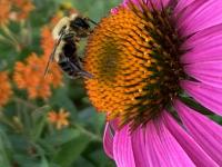 View photo in a new window