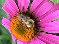 View photo in a new window