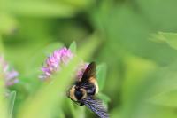 View photo in a new window