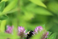 View photo in a new window