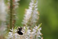 View photo in a new window