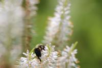 View photo in a new window