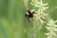 View photo in a new window