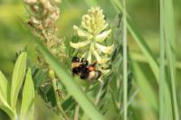 View photo in a new window