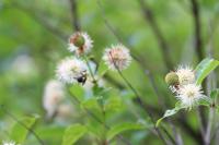 View photo in a new window