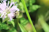 View photo in a new window