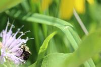 View photo in a new window