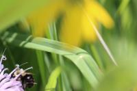 View photo in a new window