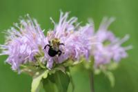 View photo in a new window