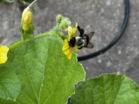 View photo in a new window