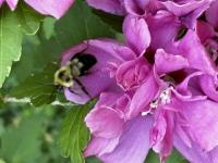 View photo in a new window