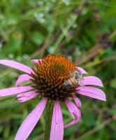 View photo in a new window