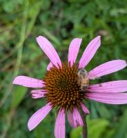 View photo in a new window