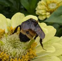 View photo in a new window