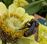 View photo in a new window