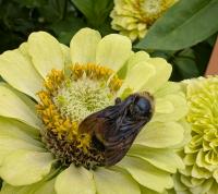 View photo in a new window