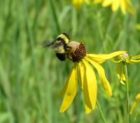 View photo in a new window