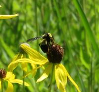 View photo in a new window