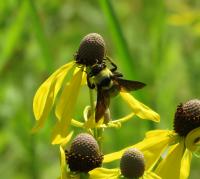 View photo in a new window