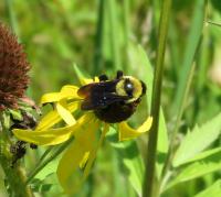 View photo in a new window