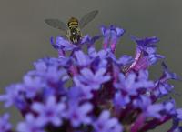 View photo in a new window