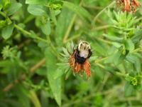 View photo in a new window