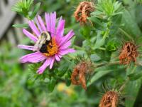 View photo in a new window