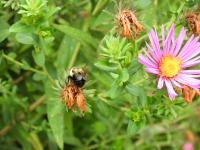 View photo in a new window