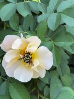 View photo in a new window