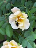 View photo in a new window