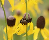 View photo in a new window