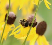 View photo in a new window