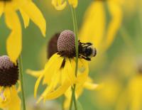 View photo in a new window