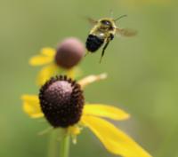 View photo in a new window