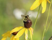 View photo in a new window