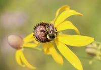 View photo in a new window