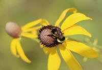 View photo in a new window