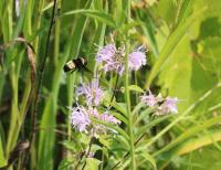 View photo in a new window