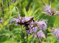 View photo in a new window