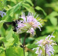 View photo in a new window