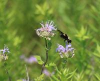 View photo in a new window