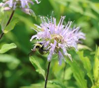 View photo in a new window