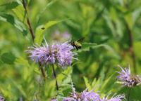 View photo in a new window