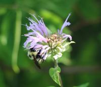 View photo in a new window