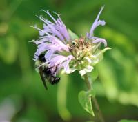 View photo in a new window